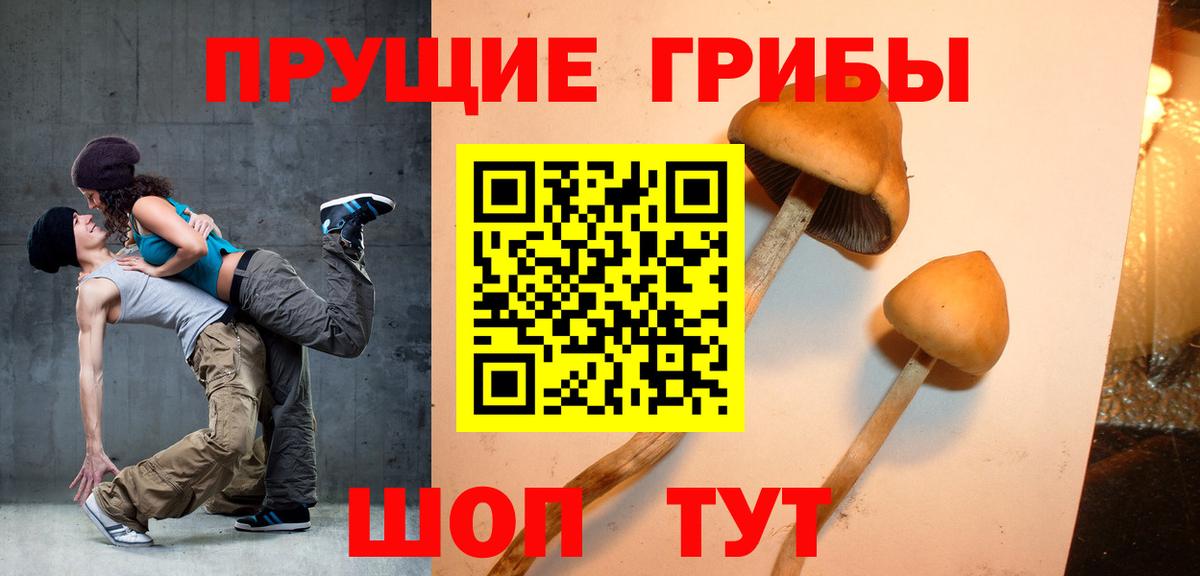 Псилоцибиновые грибы мицелий  Псилоцибиновые грибы мухоморы  Абинск  Вход с VPN 